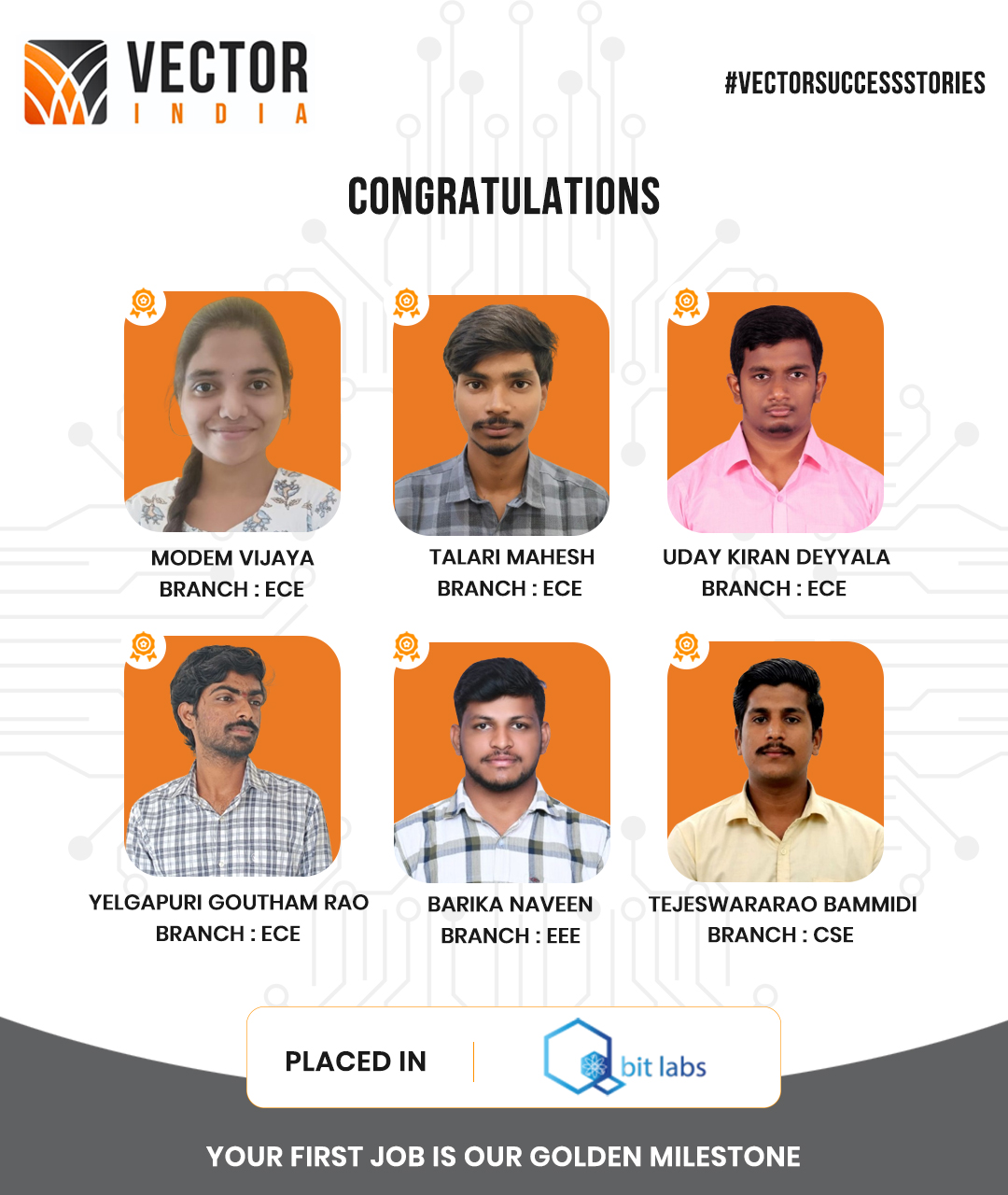 Q-Bit Placement Updates & Companies Hiring from Vector Institute