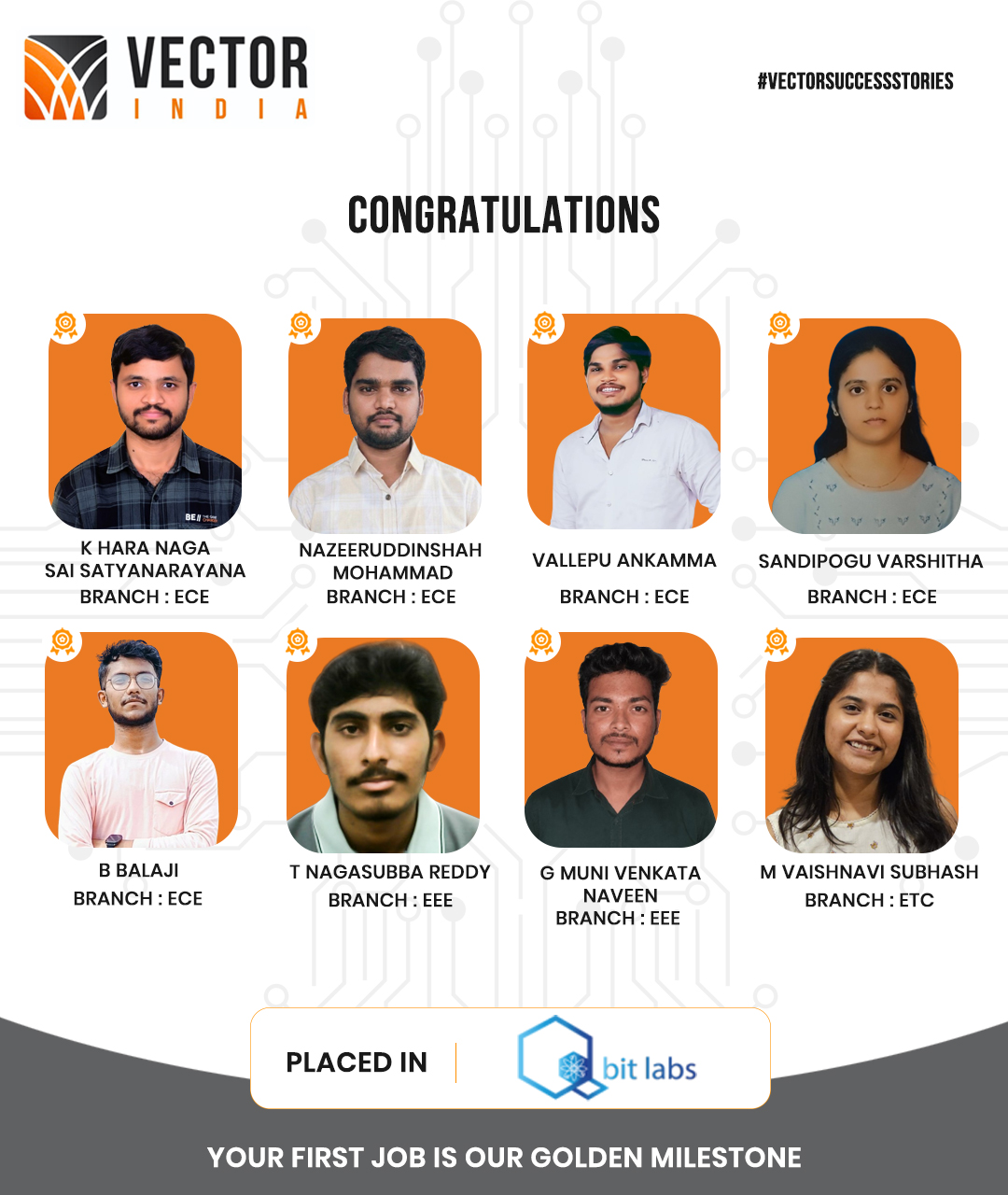 Q-Bit Placement Updates & Companies Hiring from Vector Institute